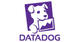 Datadog Inc